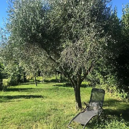 Charmant Et Climatise Avec Jardin